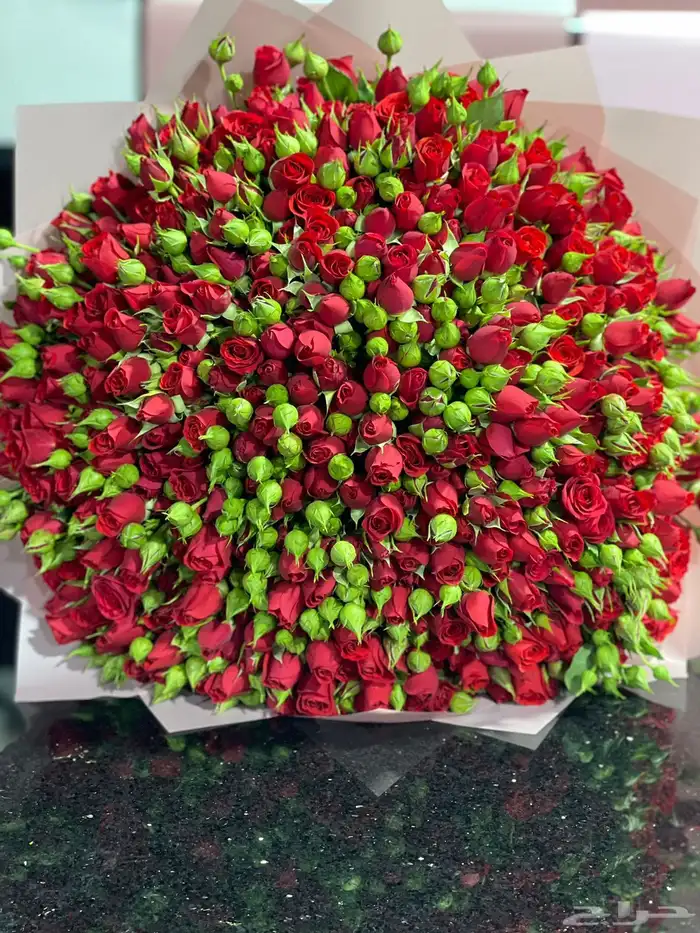 منسق ورد يبحث عن عمل 67