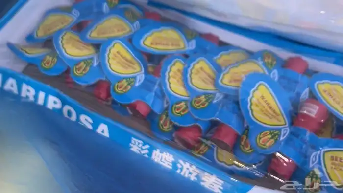 طراطيع العيد جملة ومفرق 7