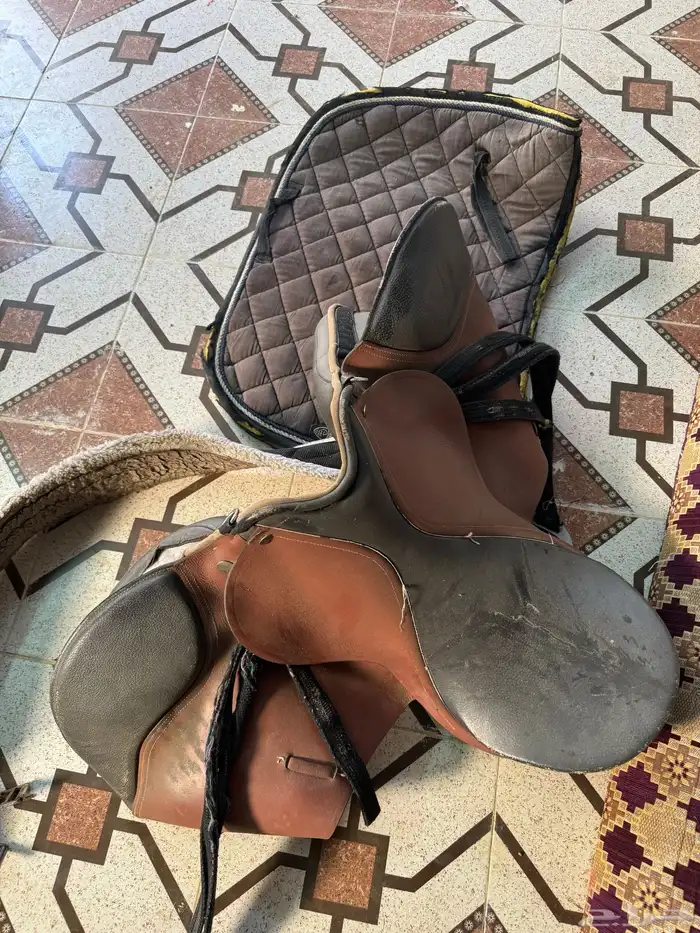 سرج ستيتوس مع لباده وركبات 0