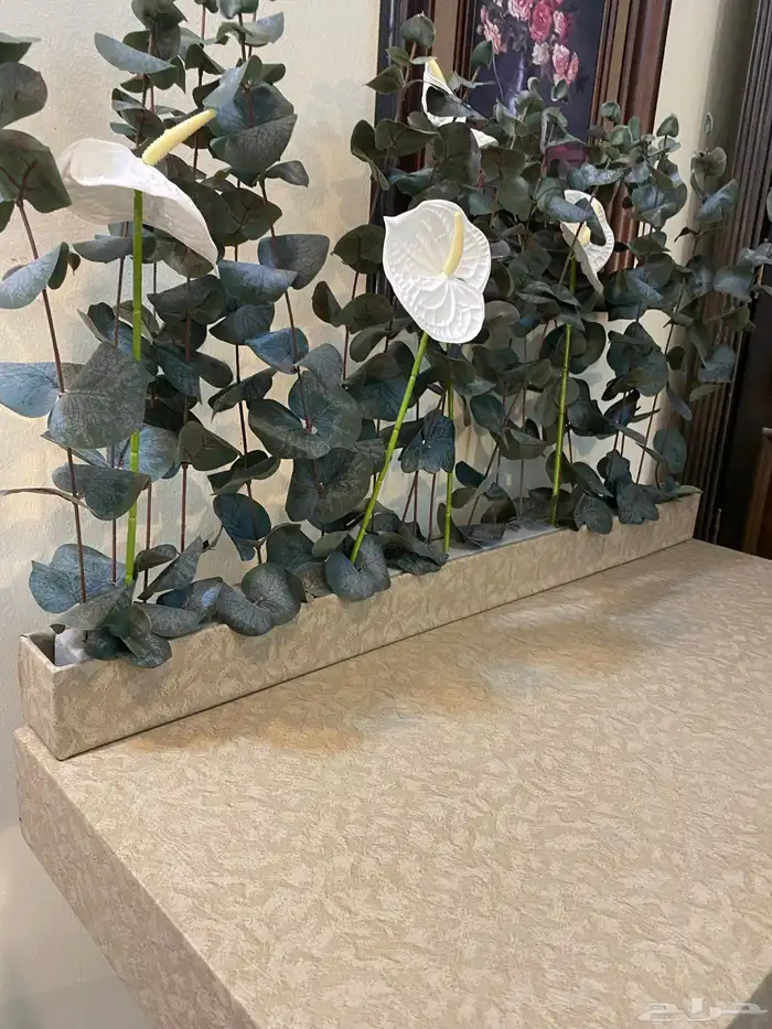 ستاند ملكات وحفلات للبيع 1