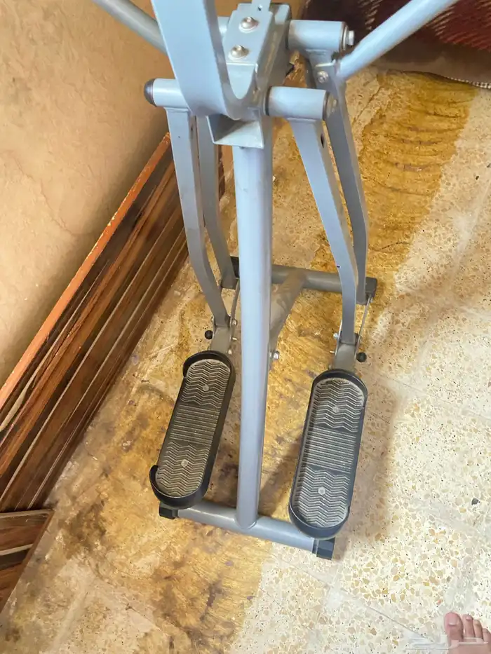 للبيع غزال طائر 2