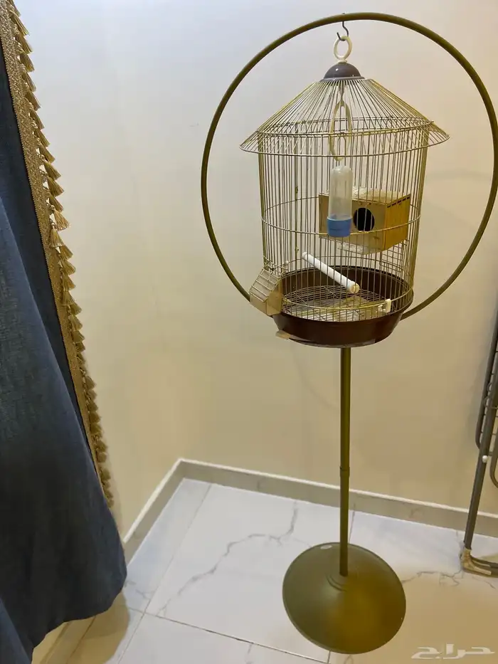 طاولتين خاليه من الكسر ب 20 وقفص عصفور جميل100 4