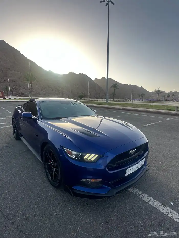 موستنق 2015 Gt premium 2 3