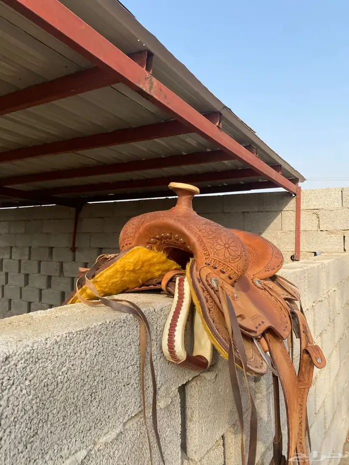 سرج كوبوي 3
