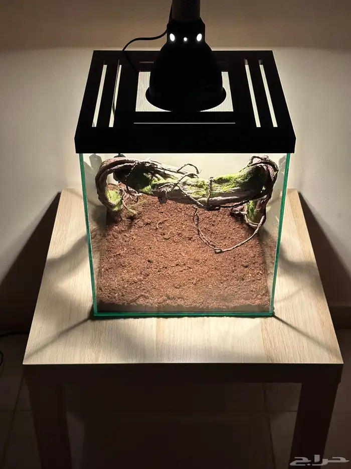 تفصيل أحواض زواحف 1