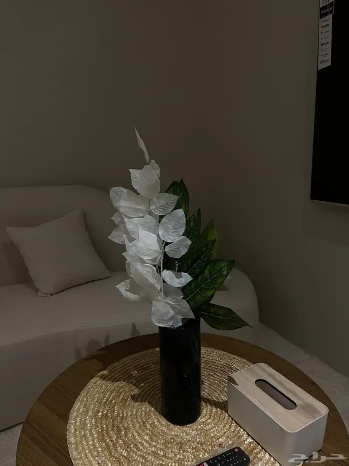 إستيديو مؤثث عوائل 1