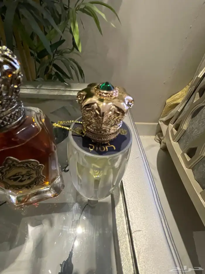 للبيع عطورات مشكله جميعها اصليه 5