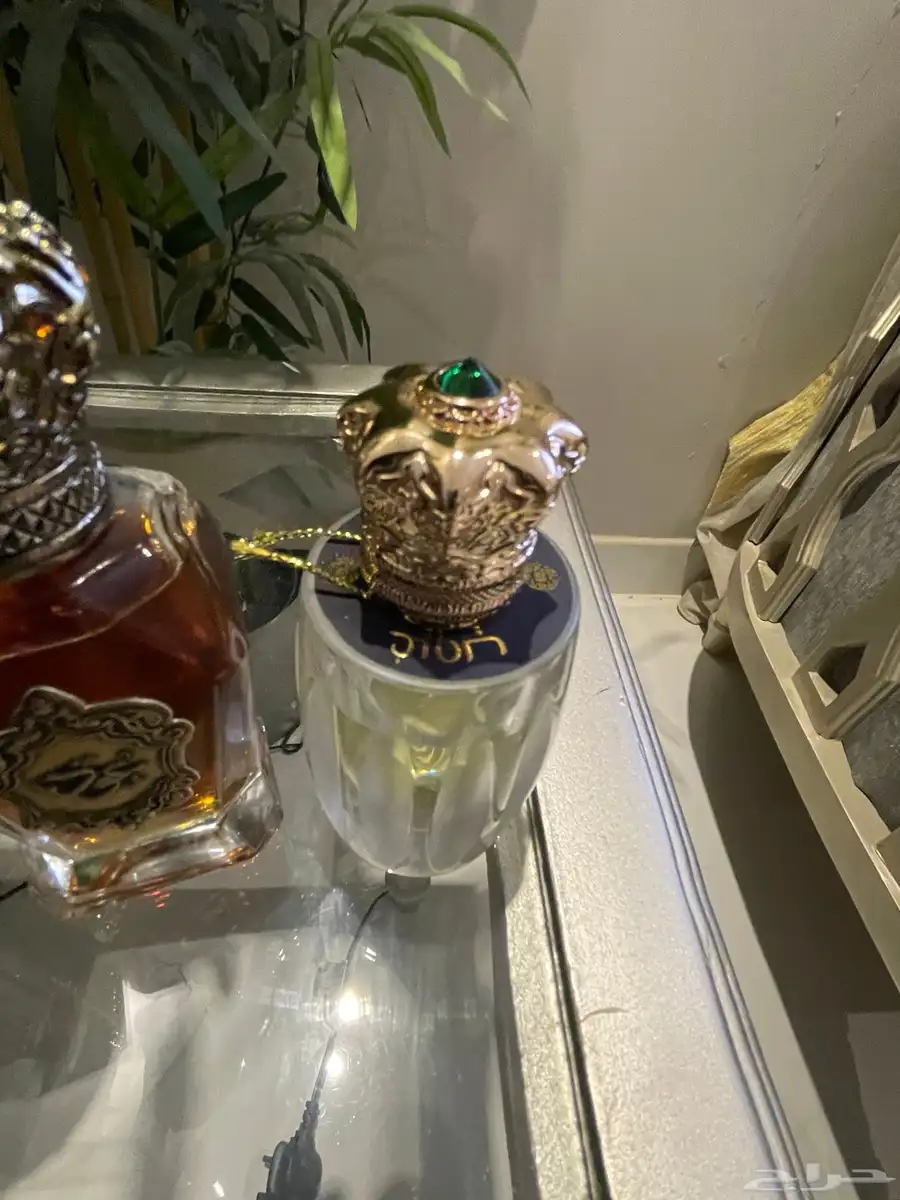 للبيع عطورات مشكله جميعها اصليه 5