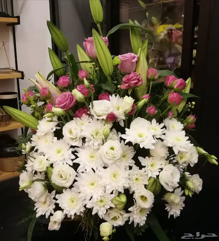 منسق ورد يبحث عن عمل 32