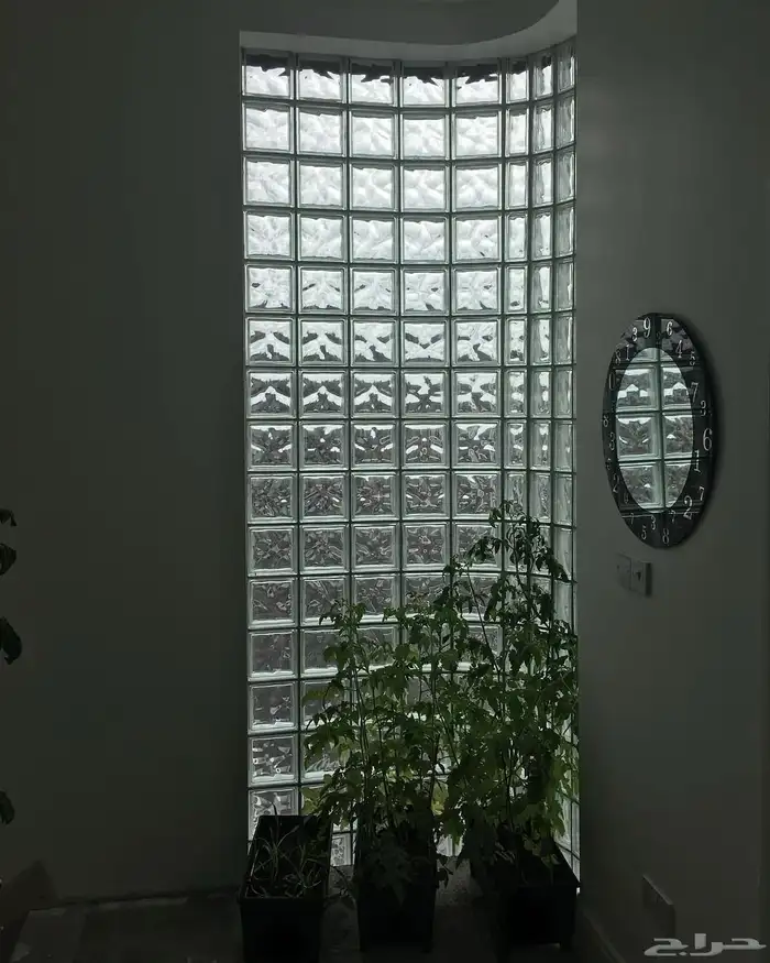 طوب زجاجي تركيب وتوريد الموردين وأفضل أنواع طوب زجاجي 8