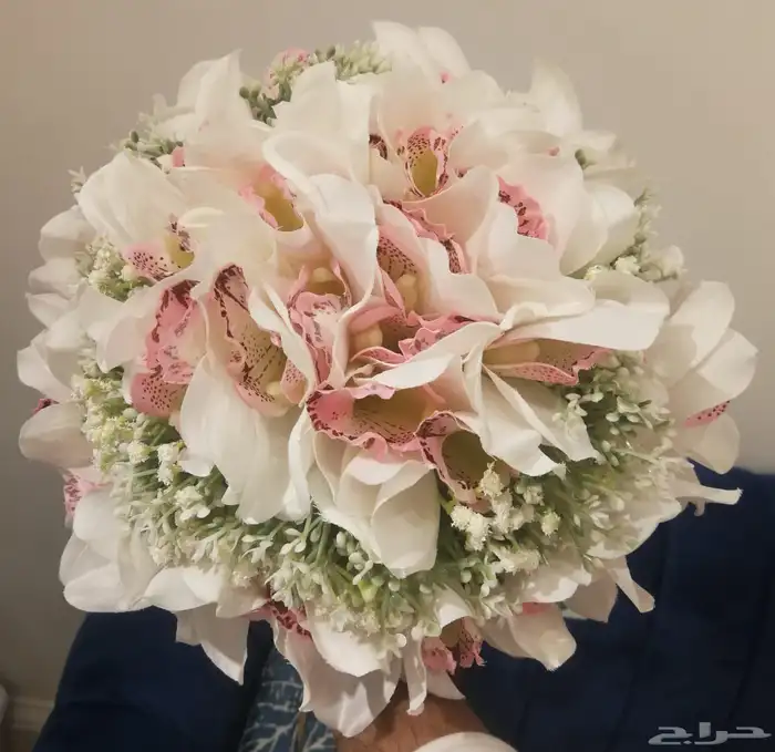 منسق ورد يبحث عن عمل 23