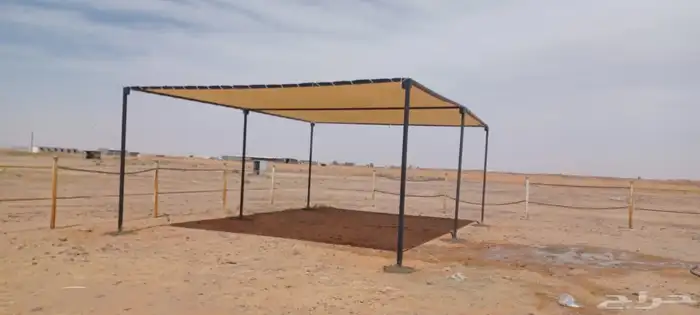 مضلات بل 2