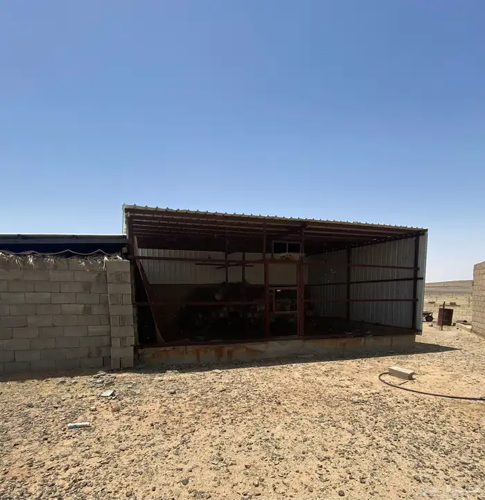 للبيع مزرعة شرق الفوارة بمنطقة القصيم 2