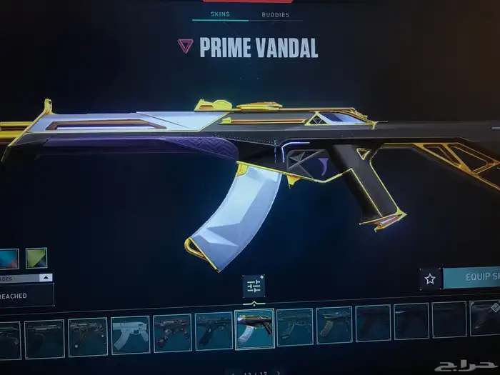 حساب فالورانت امورتل Valorant 20