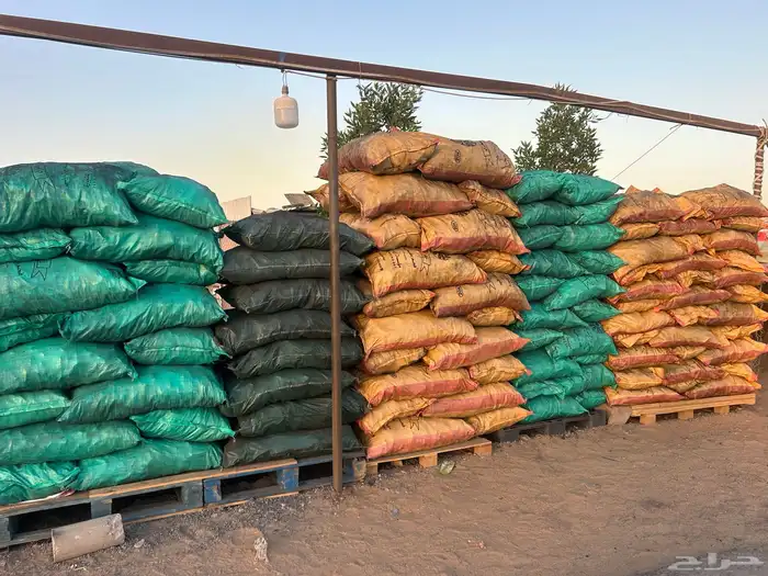 فحم وحطب مستورد 8