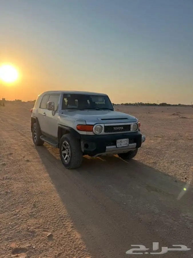 أفجي 2008 0