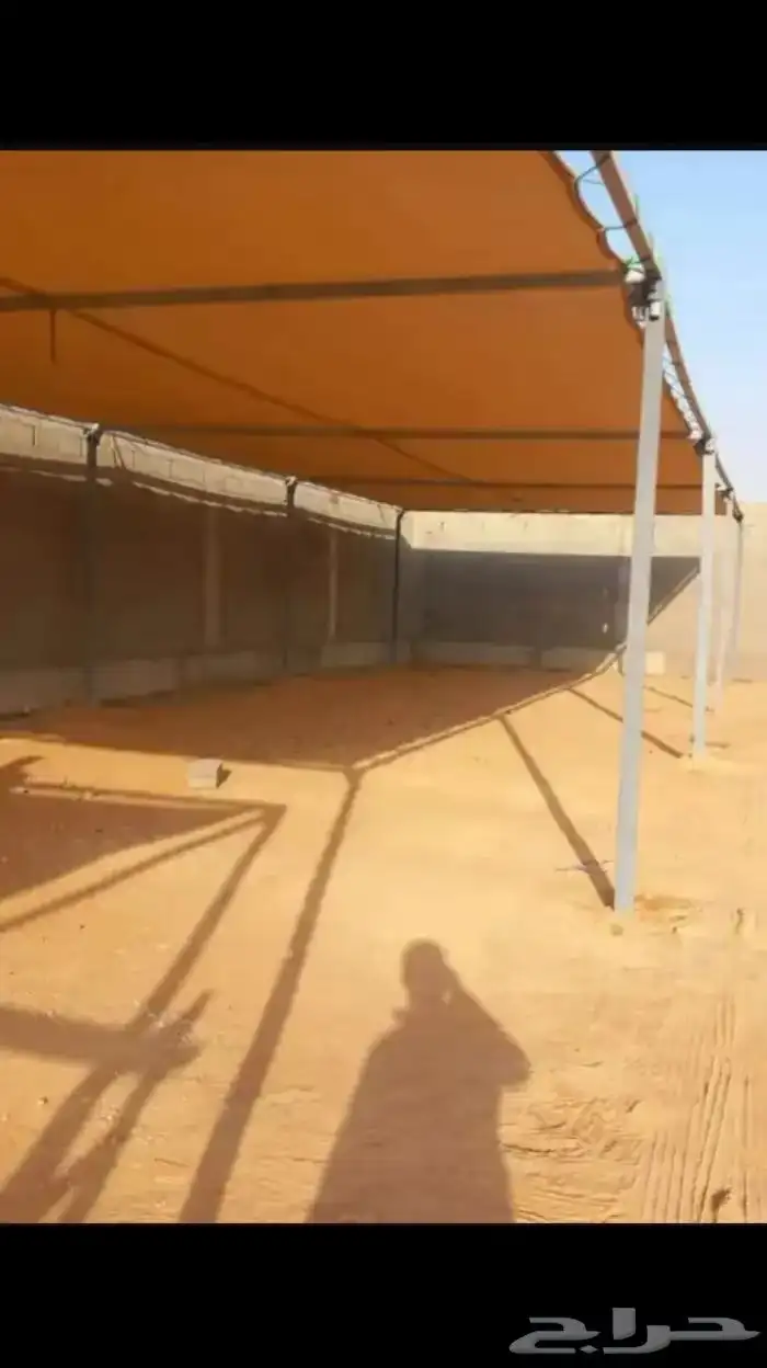 مضلات بل 11