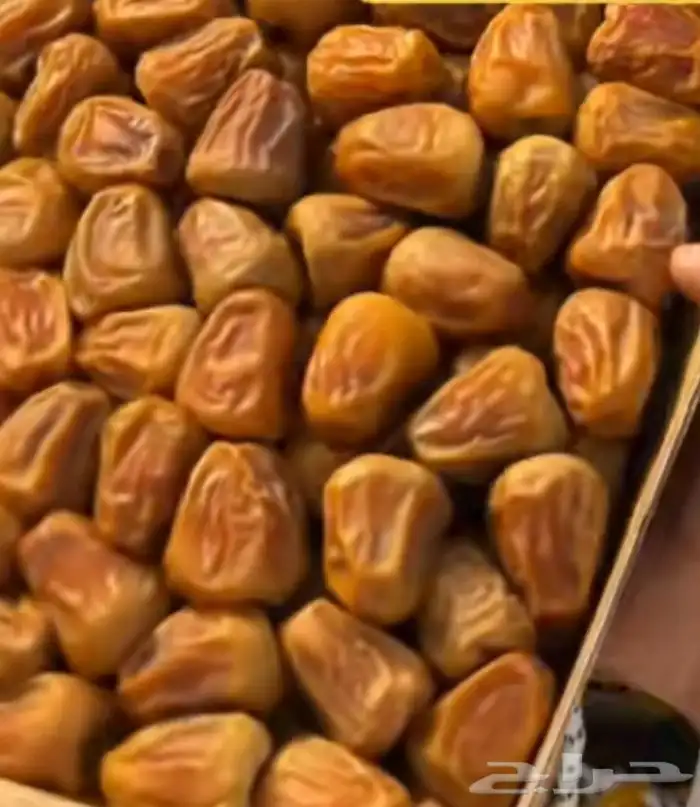 تمر سكري 3