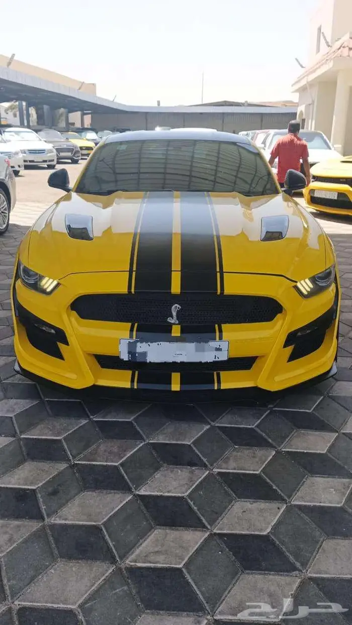 موستنج 0
