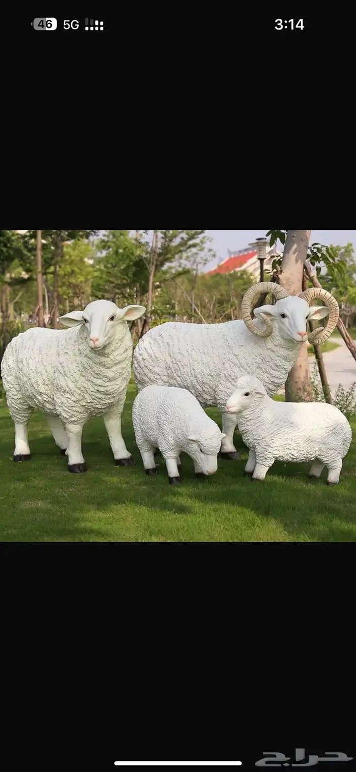 مجسم فايبر جلاس خروف العيد 0