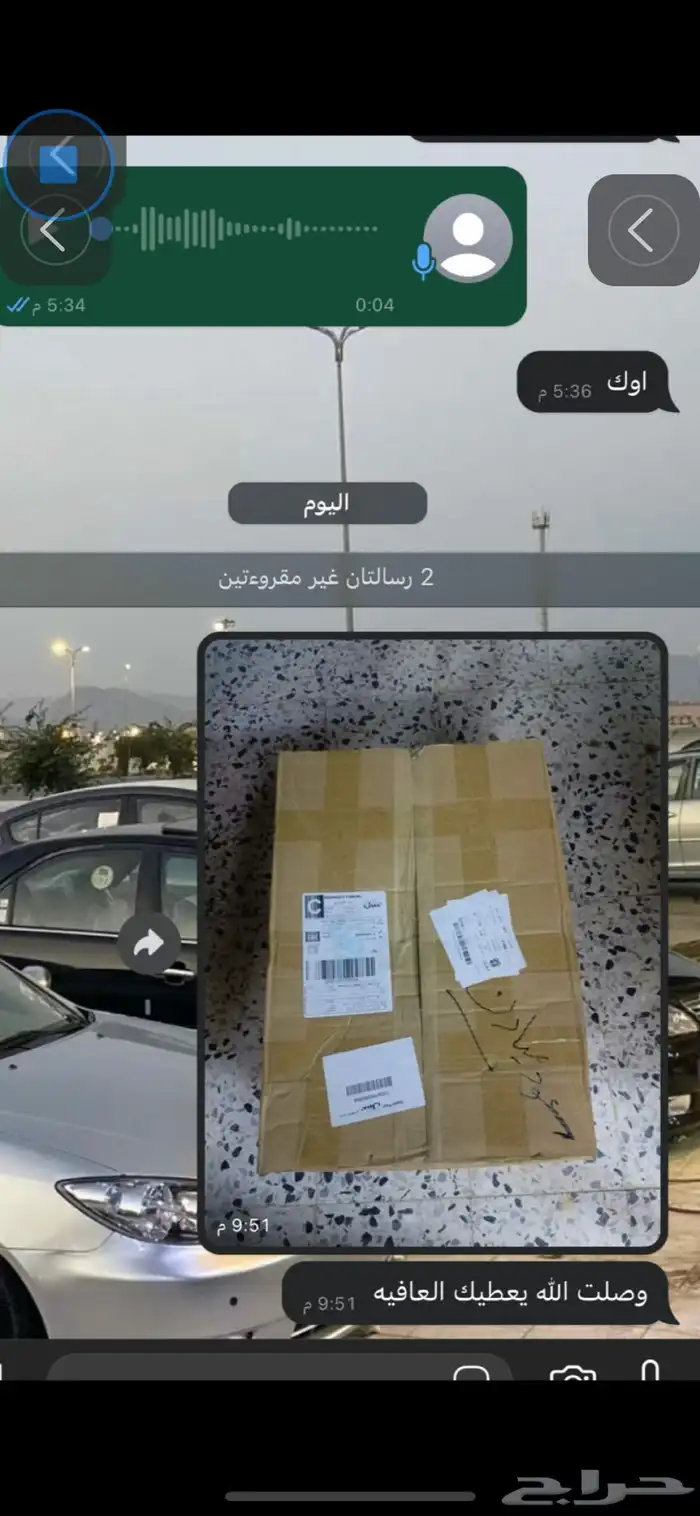 قشرة سقف أوريون 17