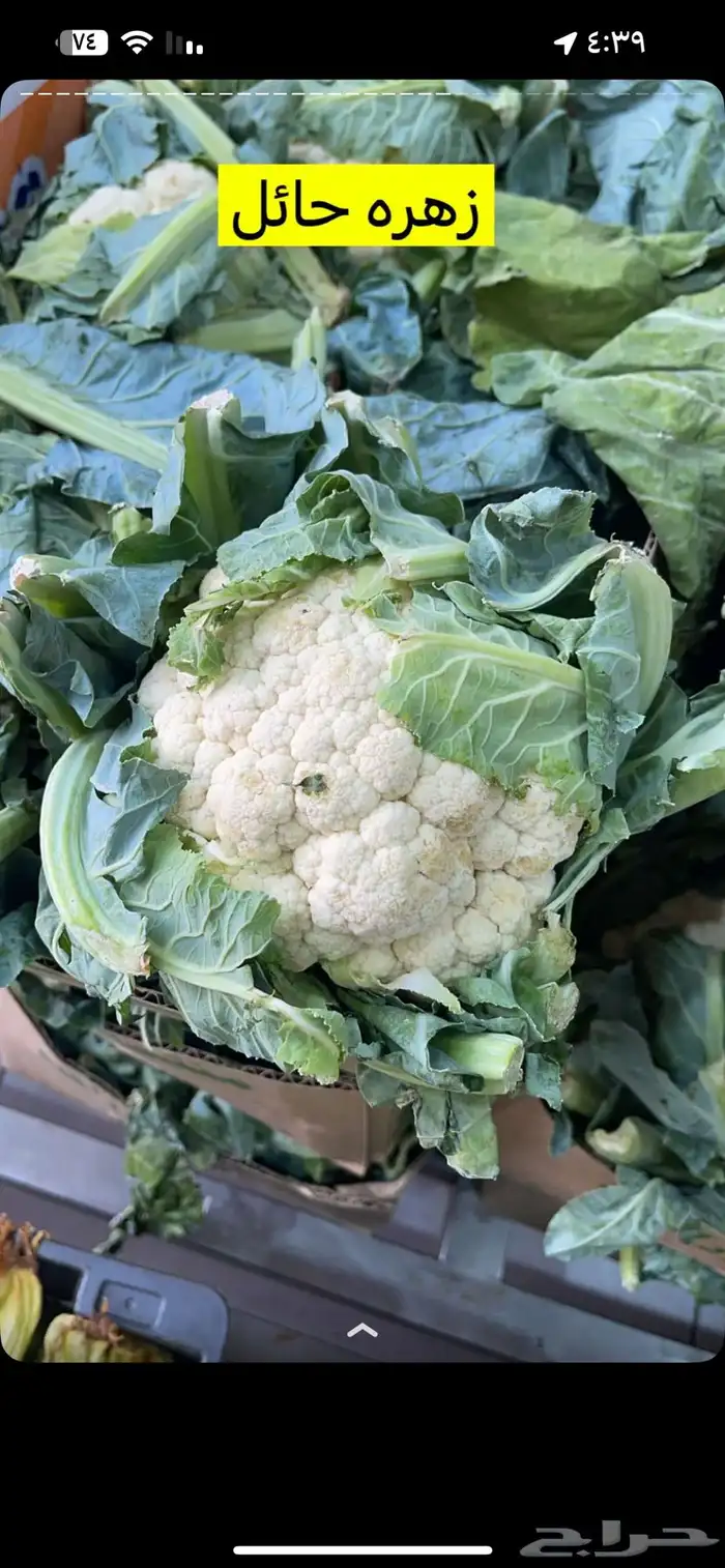 خضروات وفيه شويه يوجد وفواكة ب سعر الجمله لي لطلب اتصل نصل 16