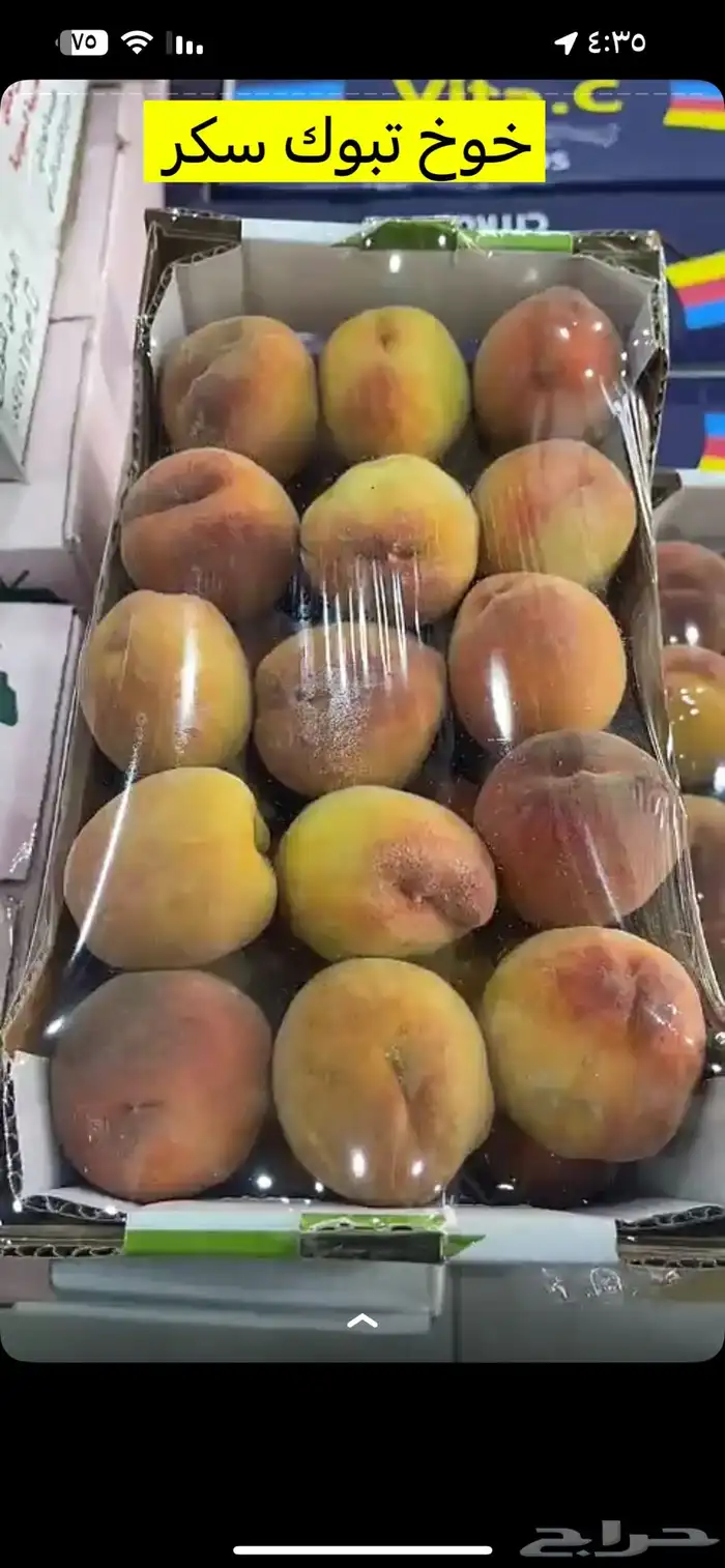 خضروات وفيه شويه يوجد وفواكة ب سعر الجمله لي لطلب اتصل نصل 29