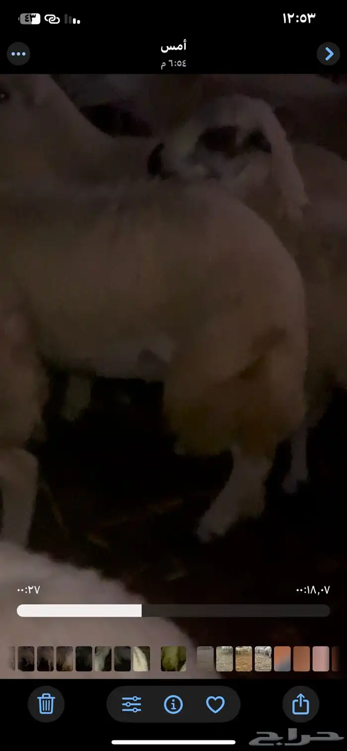 فران للبيع مخاصي 1