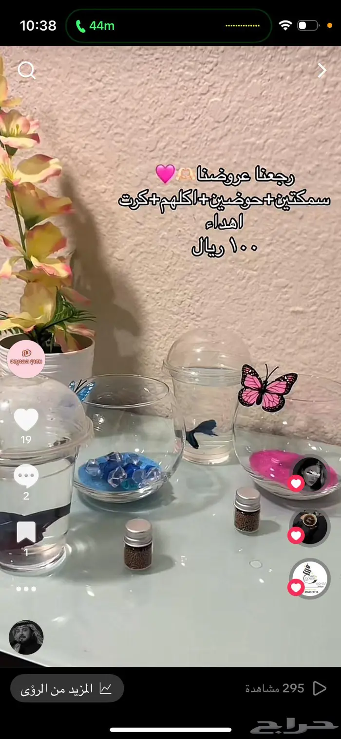 سمك فايتر 0
