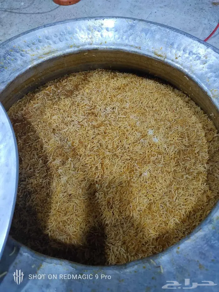 المدينه المنوره تلعة الهبوب 6