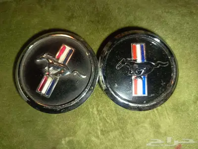 غطيان جنوط هولدين مستنق 1