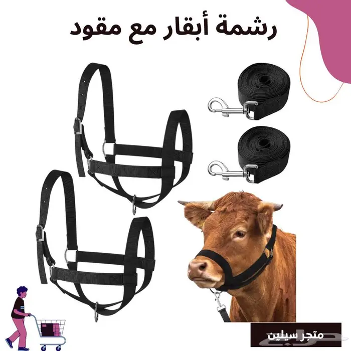 رشمة أبقار 0