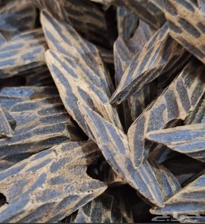 دهن عود هندي بيور 1