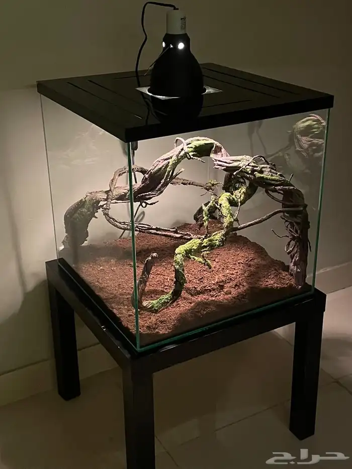 تفصيل أحواض زواحف 0