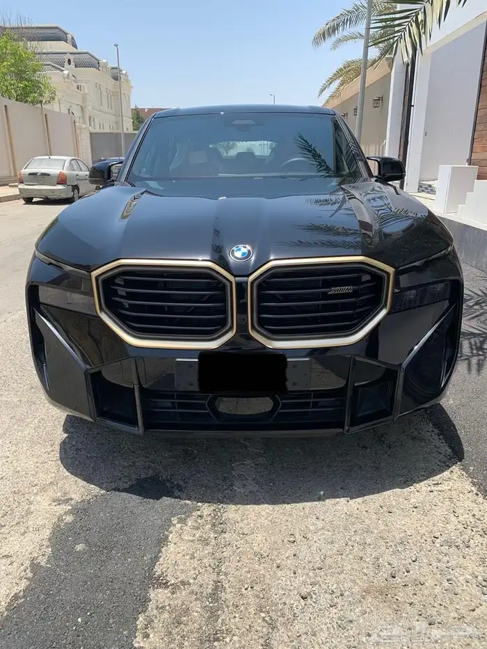 BMW X 2023 1