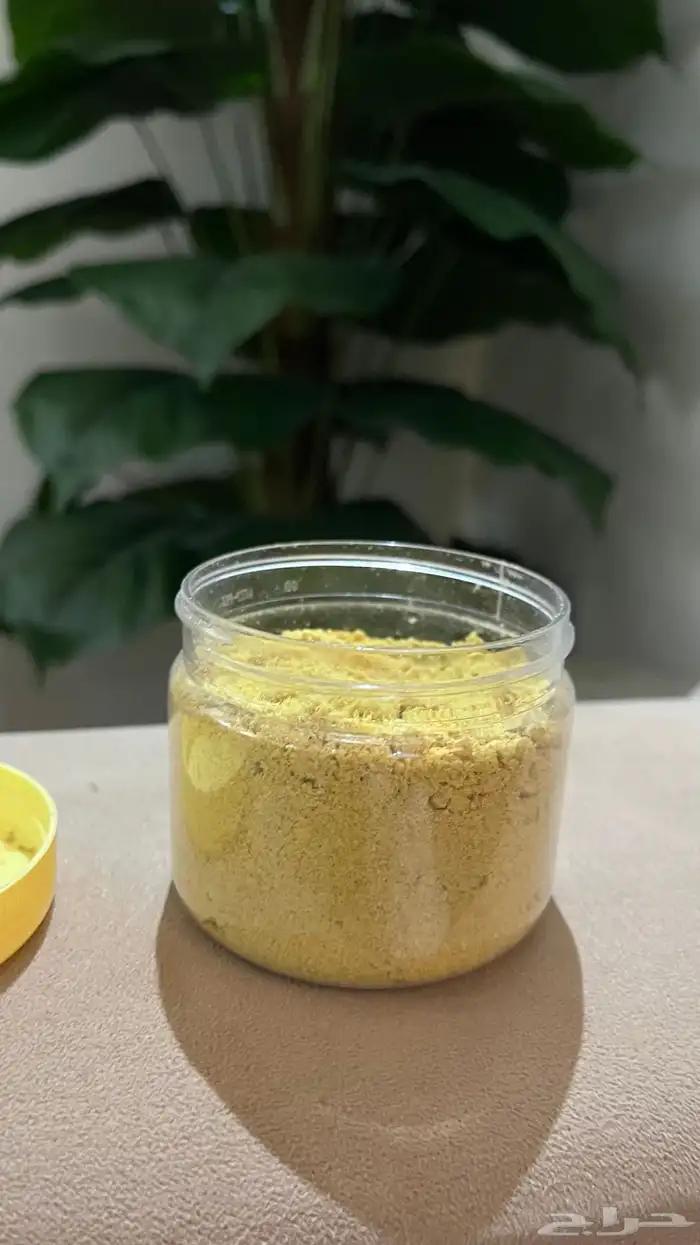 سيرلاك طيور علبه وحده ب 15 2