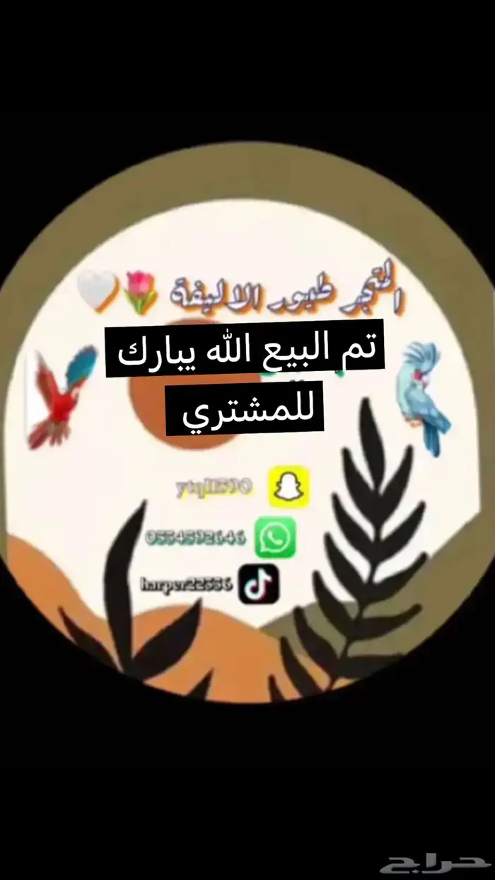 عرض لكم روز ليموني هدد داخلي نشبه اليف تم البيع 0
