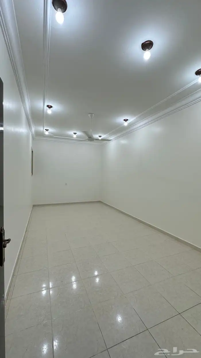 شقه للايجار 2