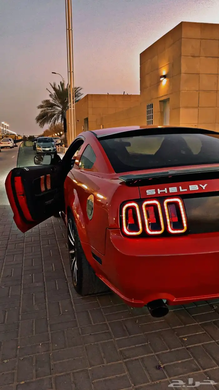 موستنق 2009 معدل شيلبي 1