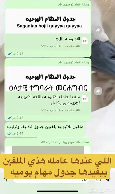 منتجات رقميه قابلة لإعادة البيع حياكم عندي عرض 0