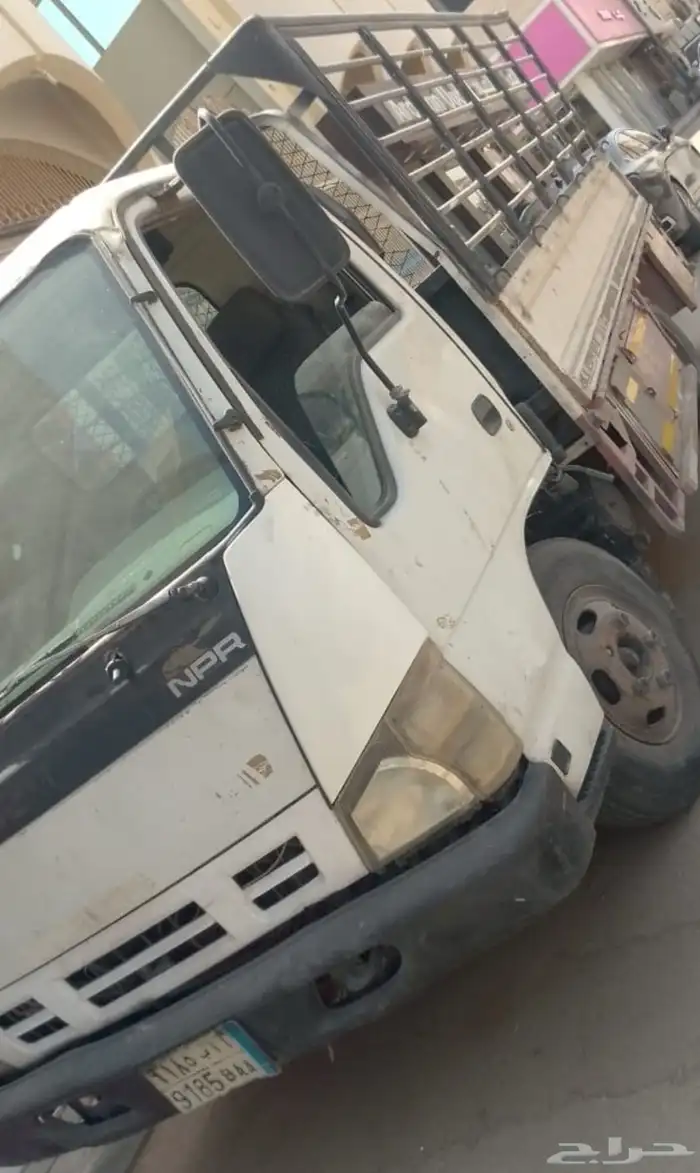 دينا 2008 1