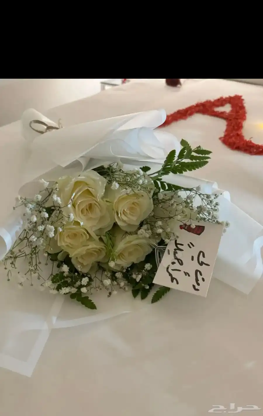 تنسيق 28