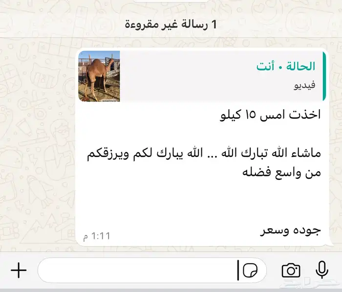 ذبائح الحجاز 19