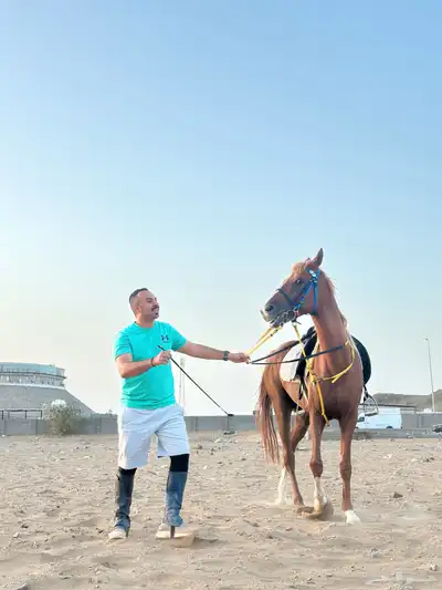 عسف الخيل وتدريبها 4