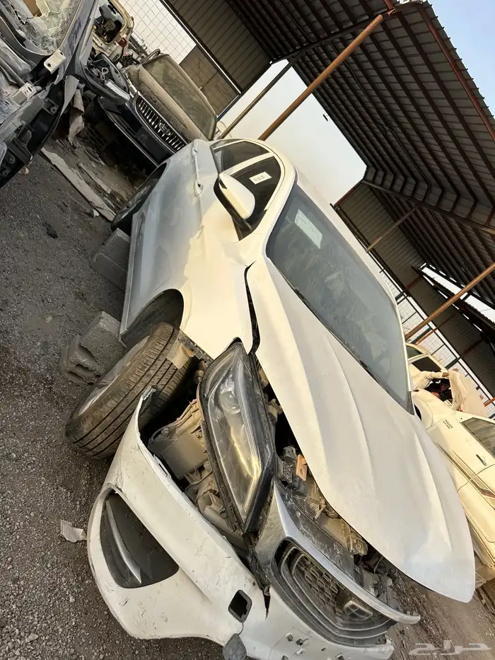 جيلي بينراي 2022 2