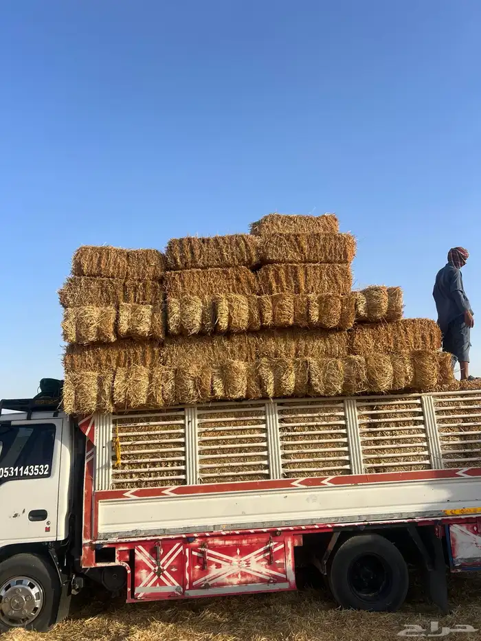 تبن بر صافي شد متر 0