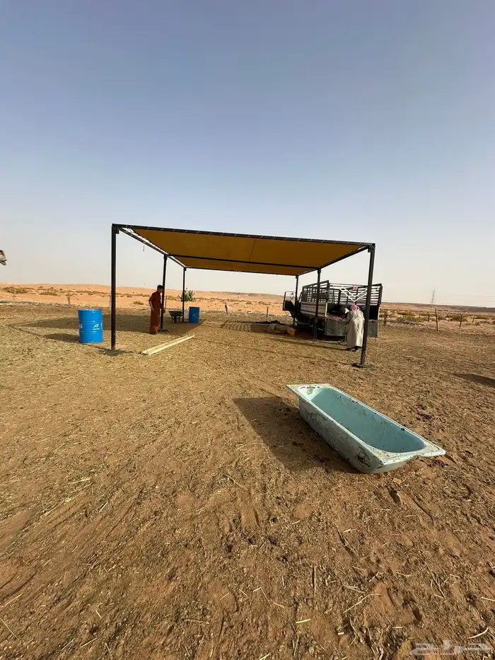 مظلات ابل جميع مقاسات 6