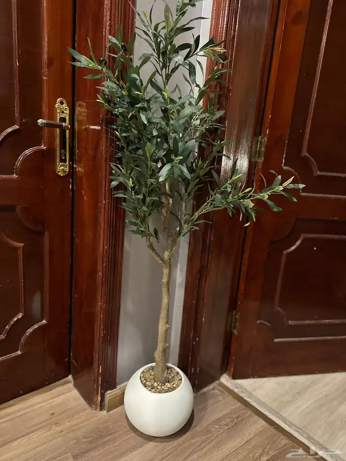 شجرة الزيتون صناعيه للبيع 2