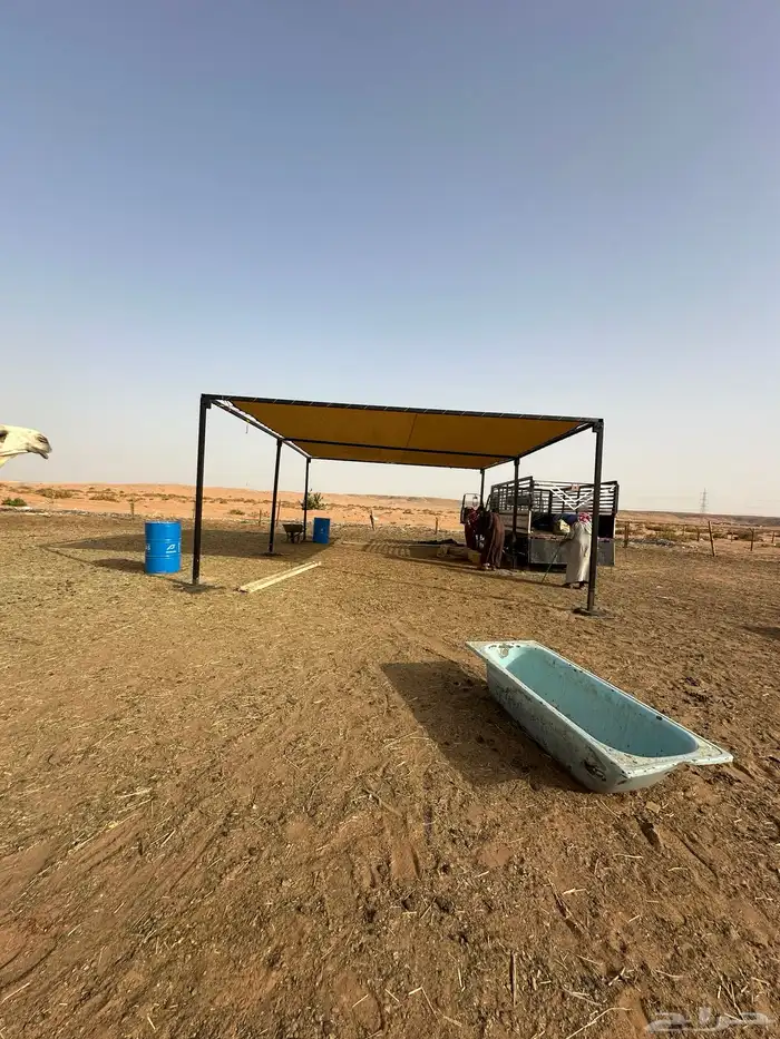 مظلات ابل جميع مقاسات 2