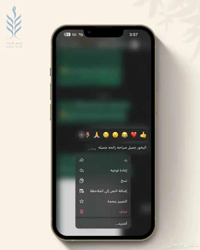 اراء شركاء النجاح 17